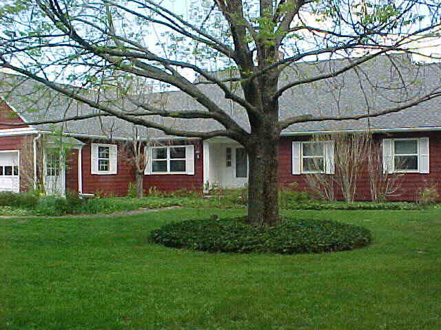Building photograph for 33 RED BIRD LANE